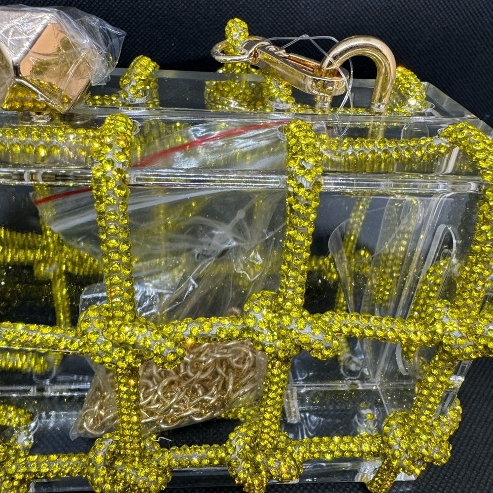 Acrylic Clear Clutch with Rhinestone Rope Detail - Picture 6 of 7